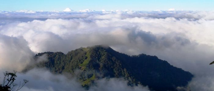 Don't forget to visit the National Parks during your next trip to Costa Rica